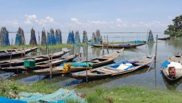 The shore of Chilika from Maensa village