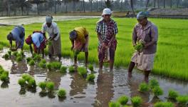 agri lab