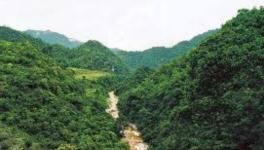 The hills, rich with flora fauna and medicinal plants, are estimated to hold 104.78 million tonnes of bauxite reserves, surpassing the 72 mt in the Niyamgiri hills.