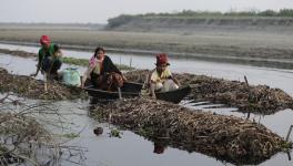 Majuli