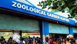 zoo