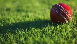 cricket