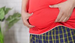belly fat