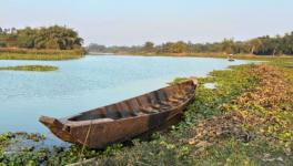 A wooden boat moored on the drying banks of the river among vegetation (Photo - Madhurima Pattanayak, 101Reporters)