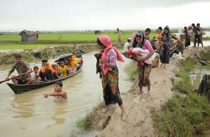 Rohingya