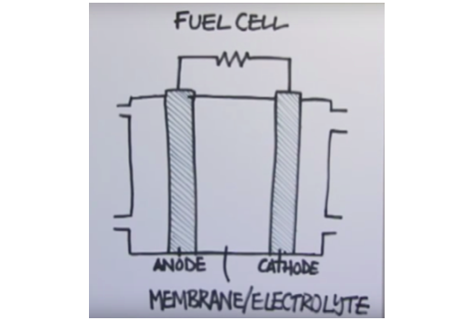 fuel cell