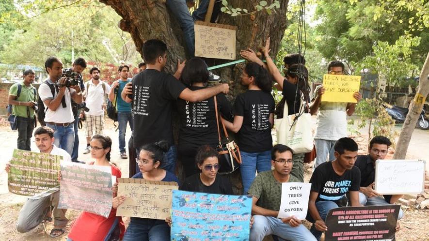 Trees being cut in Delhi 