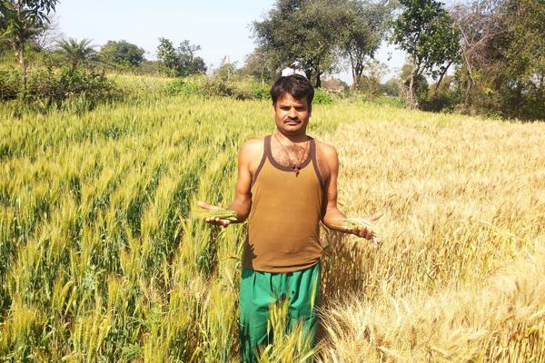 Avdhoot Shivanand farming