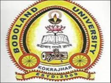 bodo university