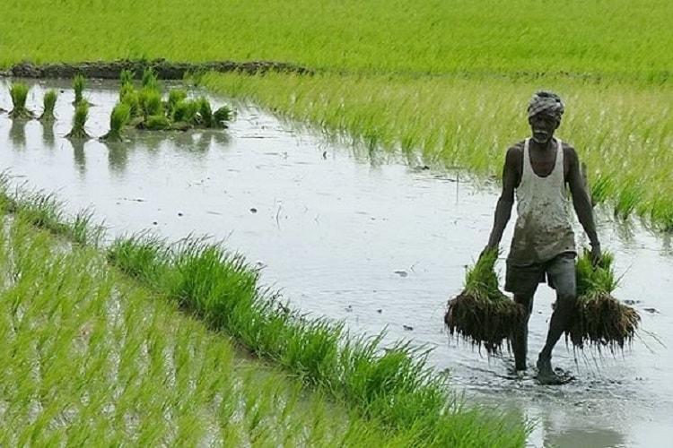 Kerala Floods