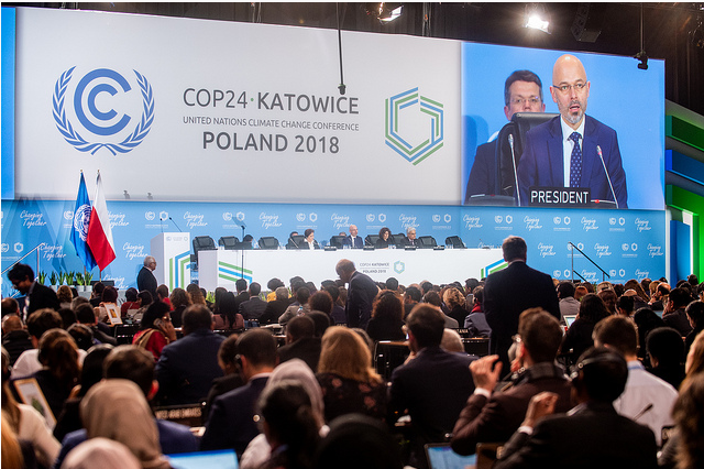 COP 24