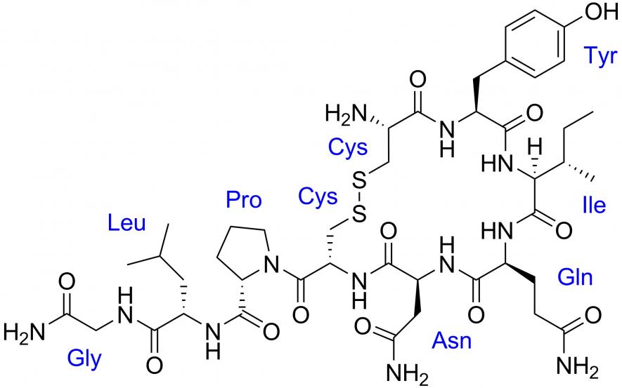 Oxytocin misuse