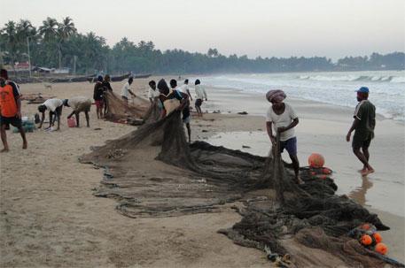 Coastal Zone Regulation