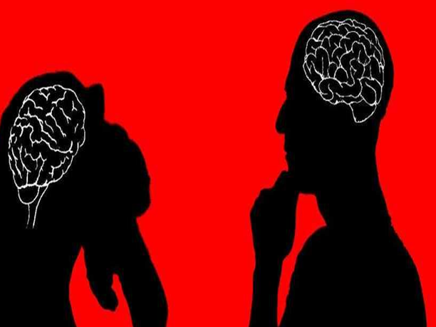 Brain Functioning