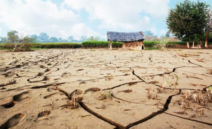 Close to 4,000 Madhya Pradesh Villages Stare at Acute Drought