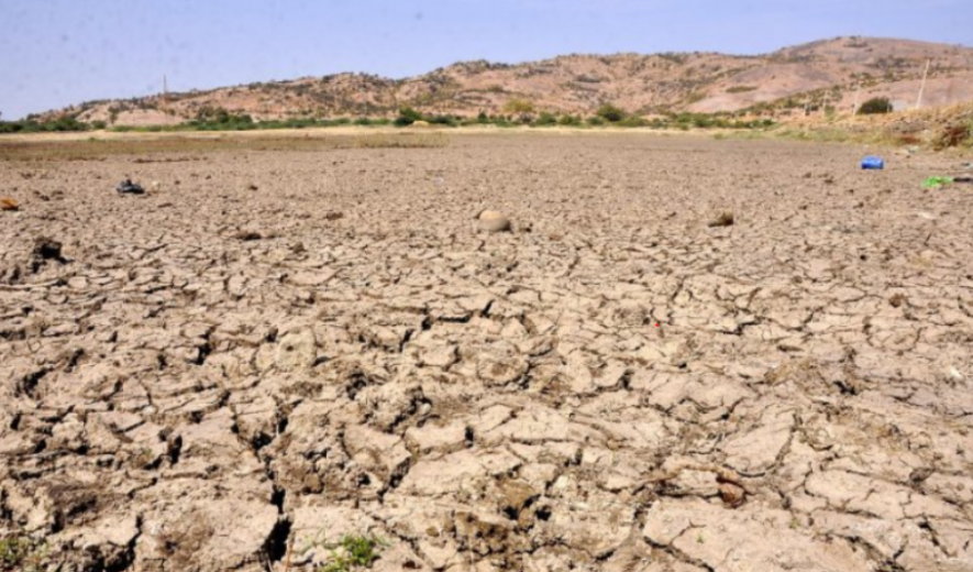 #DroughtDistress: Delayed Monsoon