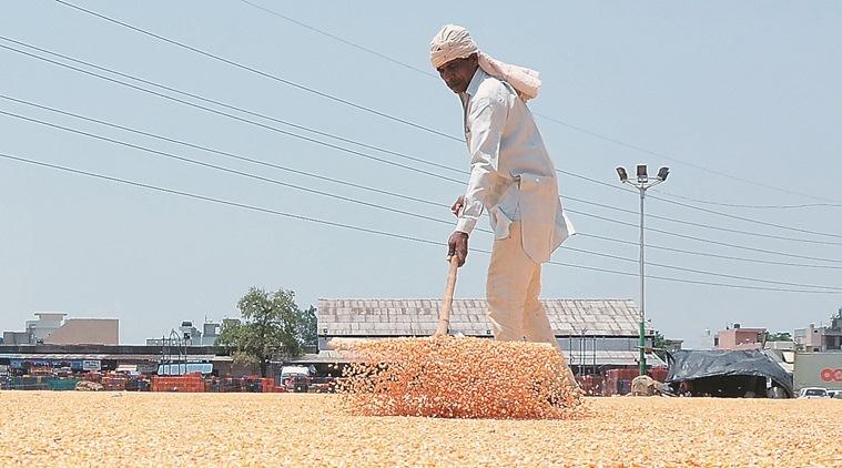 Kharif Sowing Falls 