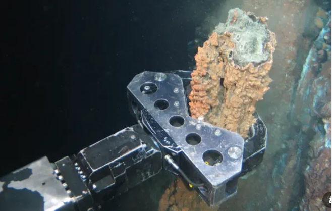 Greenpeace report on dangers of deep-sea mining.