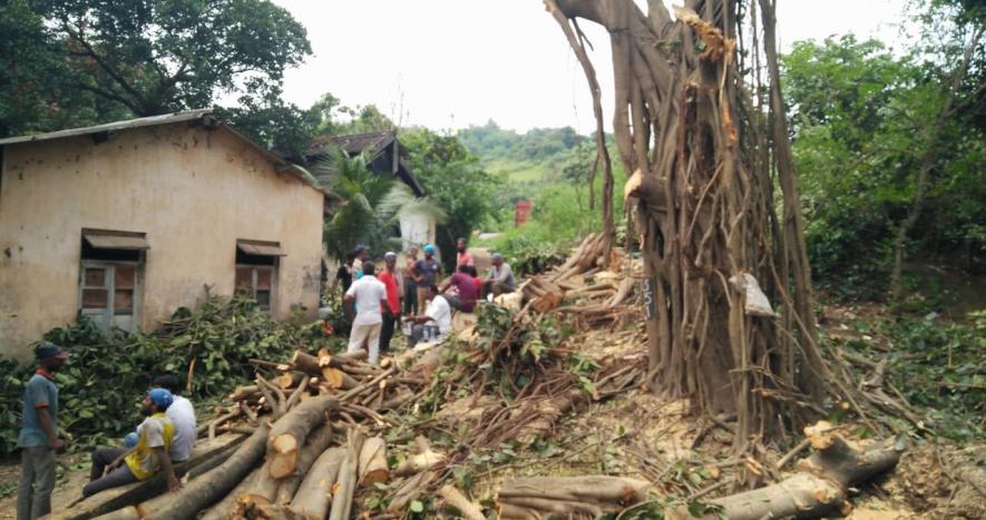 The indiscriminate felling of trees is being approved for the Mumbai Car shed project which is being widely opposed by activists and tribals in Aarey colony.