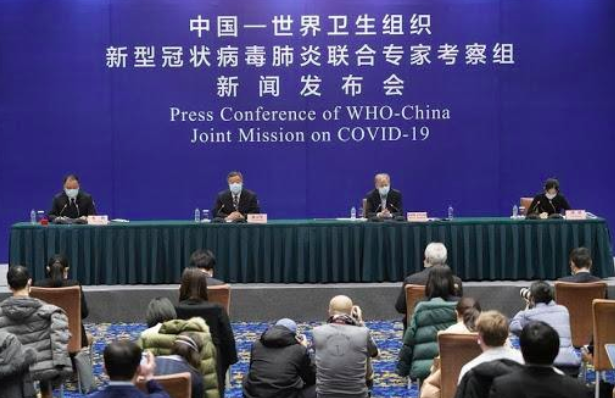 WHO-China Joint Mission 