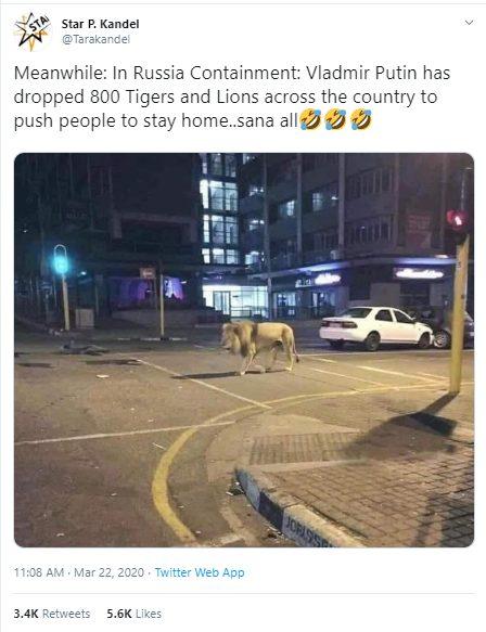 2020-03-22-20_18_13-1-Star-P.-Kandel-on-Twitter_-_Meanwhile_-In-Russia-Containment_-Vladmir-Putin-.jpg