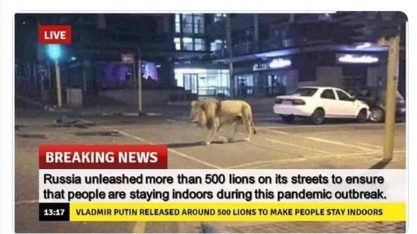 Russia lions on streets during coronavirus lockdown is fake news.
