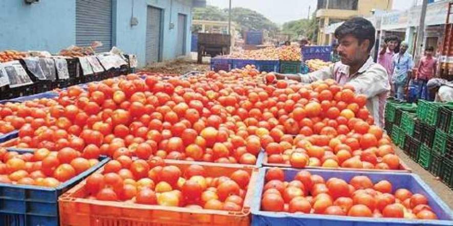 Why Maharashtra Govt Needs to Smoothen Supply Chain for Vegetable Farmers