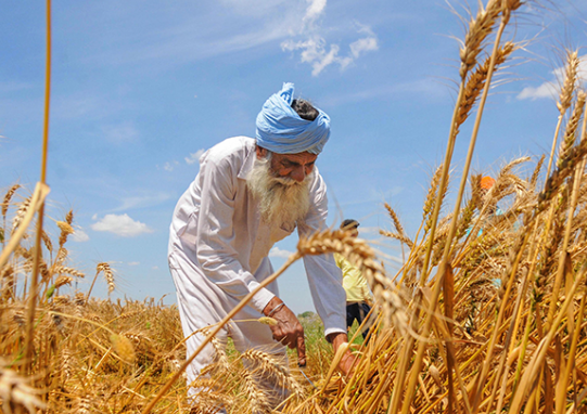 Punjab Villages Face Double Brunt