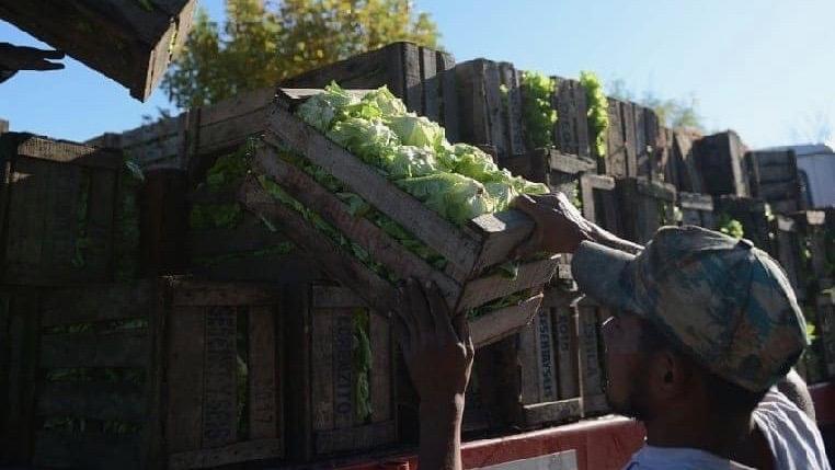 Argentine Social movements, Ciudad Futura and the Frente Patria Grande, proposed a food sovereignty plan that promotes the creation of a public food company to ensure the access to food to vulnerable sections of the society. Photo: MTE Rural