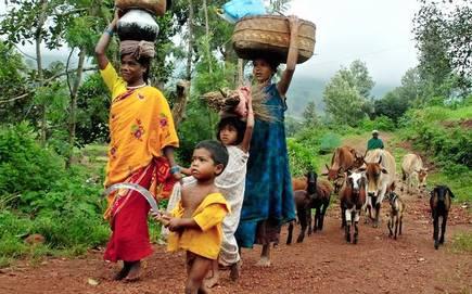 COVID-19 and Lockdown Threatening Livelihoods of Tribal Communities and Other Forest Dwellers: Report