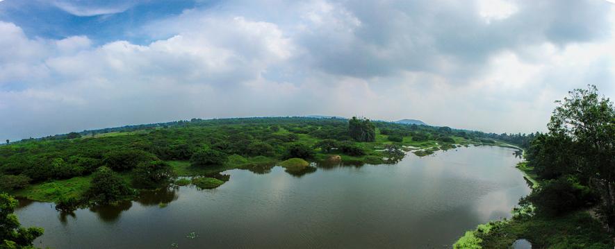 Vedanthangal Bird Sanctuary in Tamil Nadu Could Lose 40% Area if Declassification Proposal Approved, Local Community Opposes Move