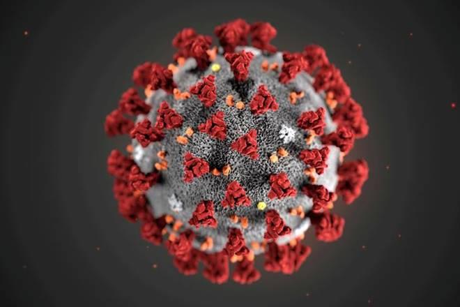 'Immune Cells Involved in Protection Against COVID-19 Identified''Immune Cells Involved in Protection Against COVID-19 Identified'