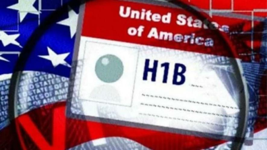 Trump Suspends H-1B, Other Work Visas Till Year End; US Firms, MPs Slam Move