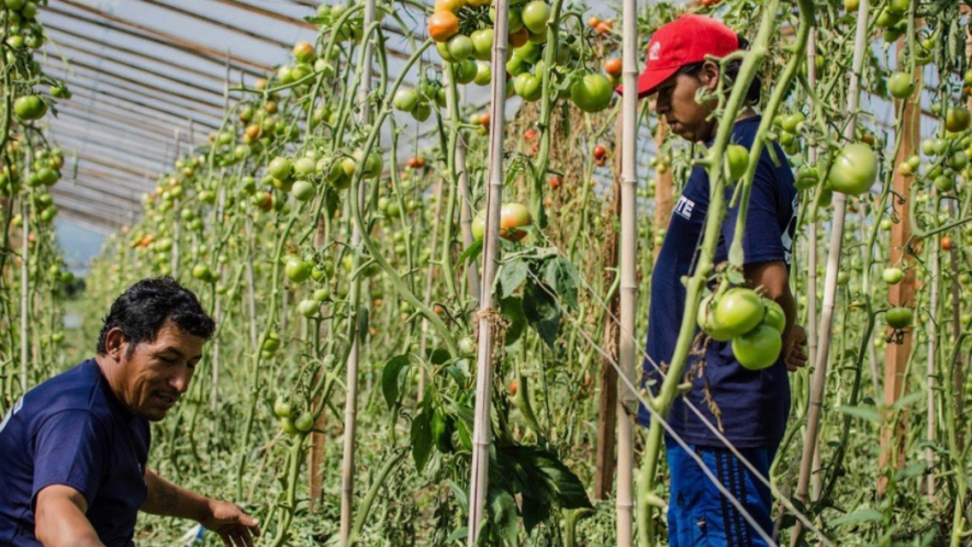 Food Sovereignty in Argentina