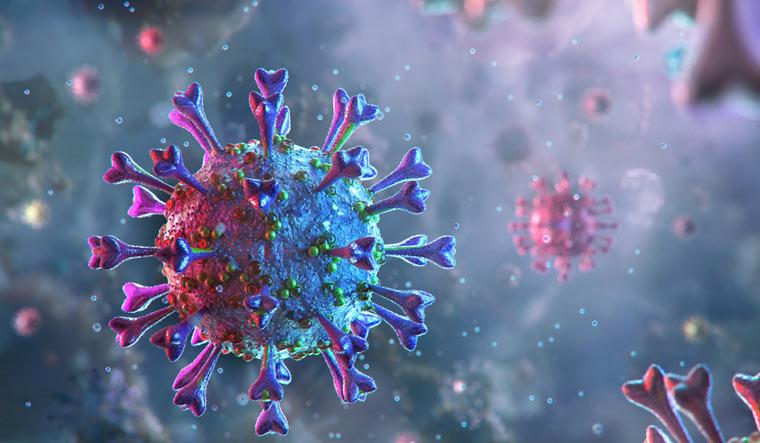 -- COVID19: Deceased Patients’ Autopsies Show Remarkable Immune Failure
