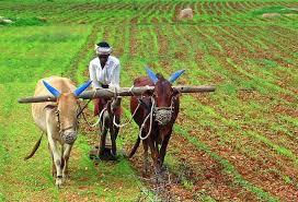 Rajasthan Govt Introduces 3 Bills to Negate Impact of Centre’s Farm Laws