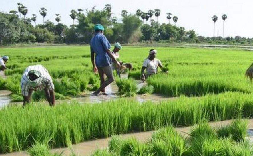 agri workers