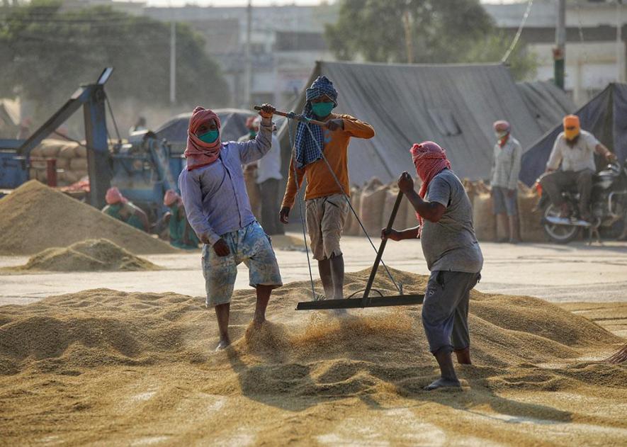 Mandi system in punjab