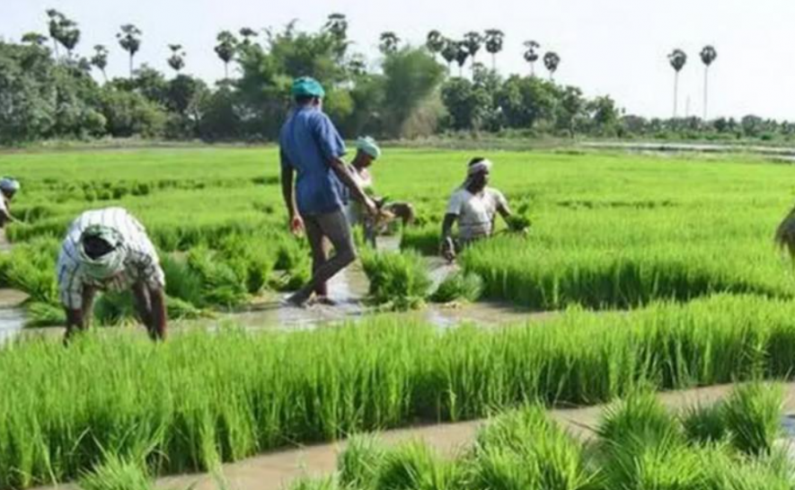 TN election Farmers