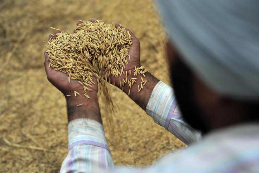 Food Security in India