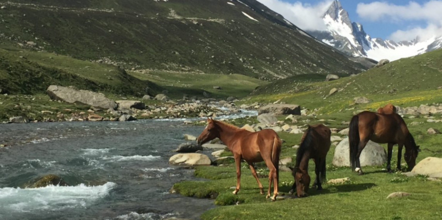 Shali Ganga river around Ashtar valley Pir Panjaal mountain range. Picture Courtesy: Raja Muzaffar Bhat