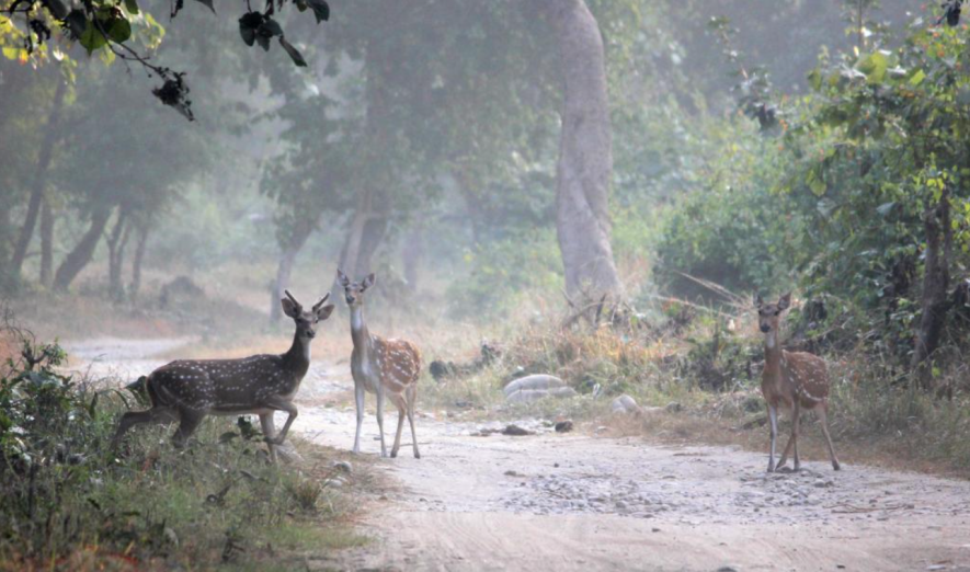 uttarakhand