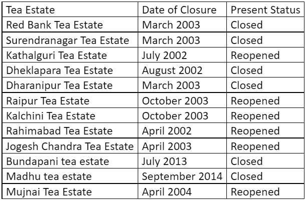 Tea estates of india