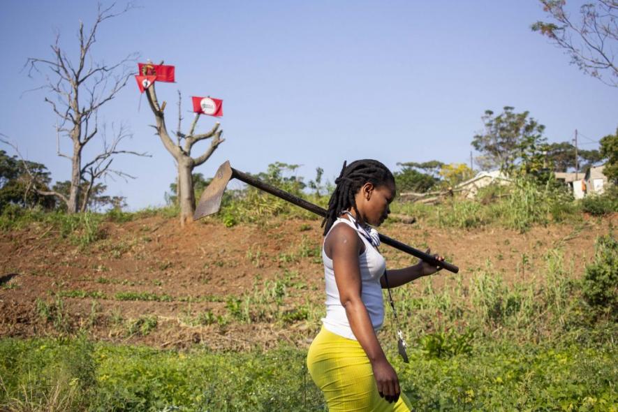 9 June 2020: Sbongile Tabhethe works in the food garden in eKhenana shack settlement in Cato Manor, Durban. (Photograph by Mlungisi Mbele)