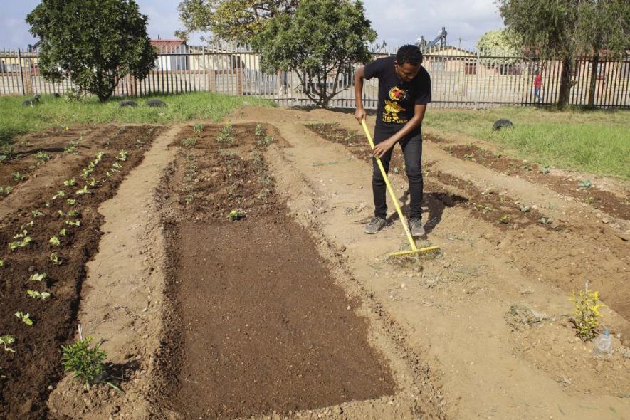 15 May 2021: Siyabulela Mama supports more than a dozen community farms in Gqeberha. (Photograph by Bonile Bam)