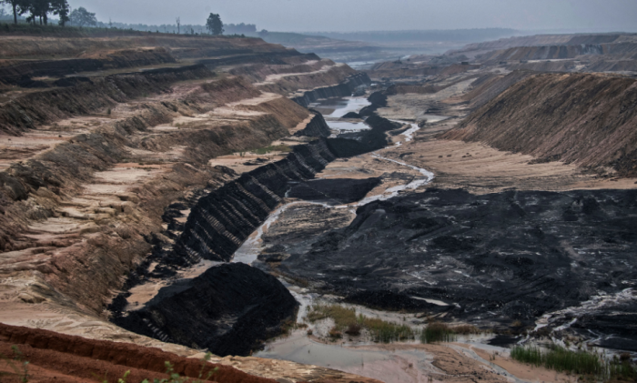 Hasdeo Aranya Mining: Biodiversity Study Points out Eco-sensitivity, Advises Against Opening up of 14 Coal Clocks