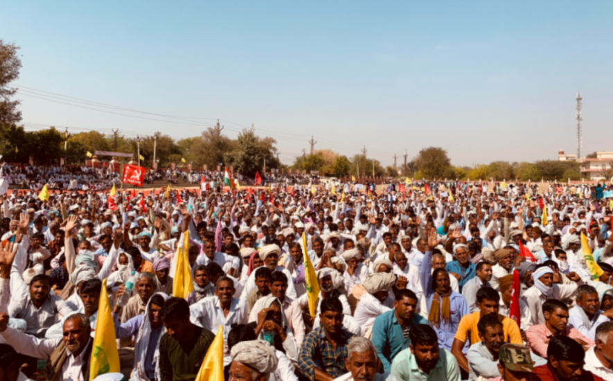 rajasthan farmers.