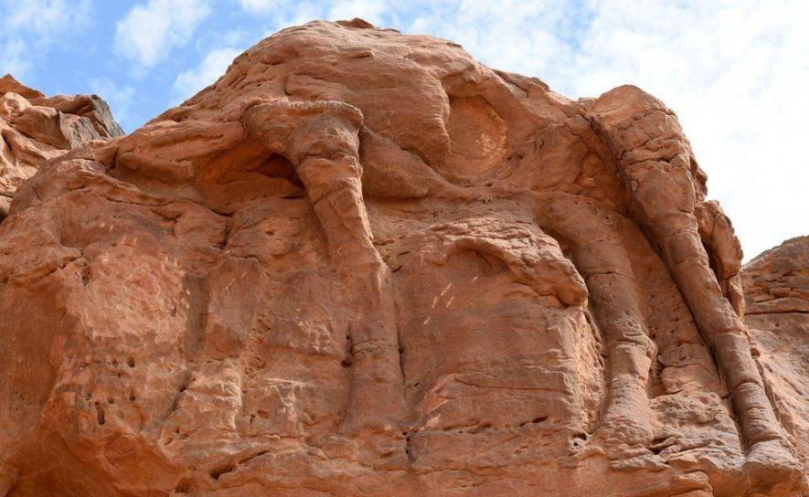 Saudi Arabian Animal Sculpture Maybe Older Than the Pyramids and the Stonehenge, Study Finds