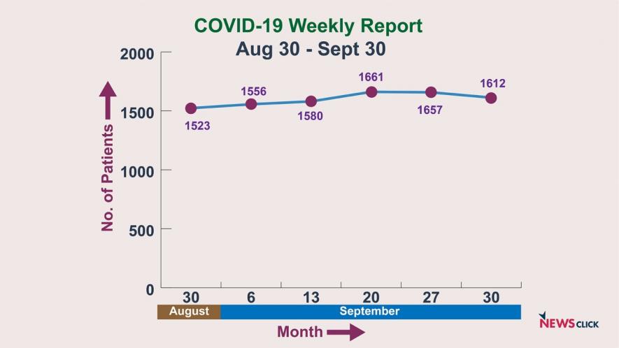 Weekly Report