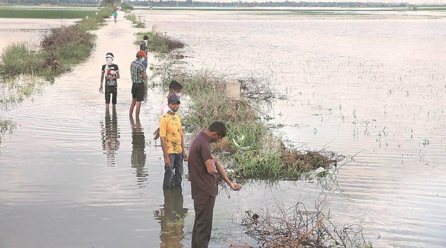 Delhi Village Farmers pay Price for Urbanisation